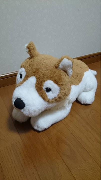 Amazon.co.jp: フランダースの犬 パトラッシュ ぬいぐるみ ロ ッテ